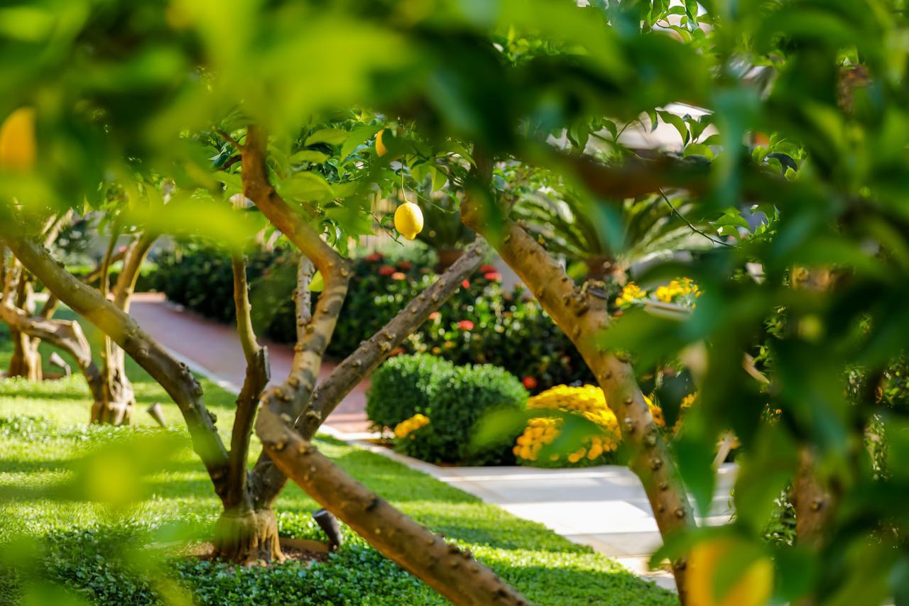 Hotel Lemongarden - Adults Only Sutivan Kültér fotó