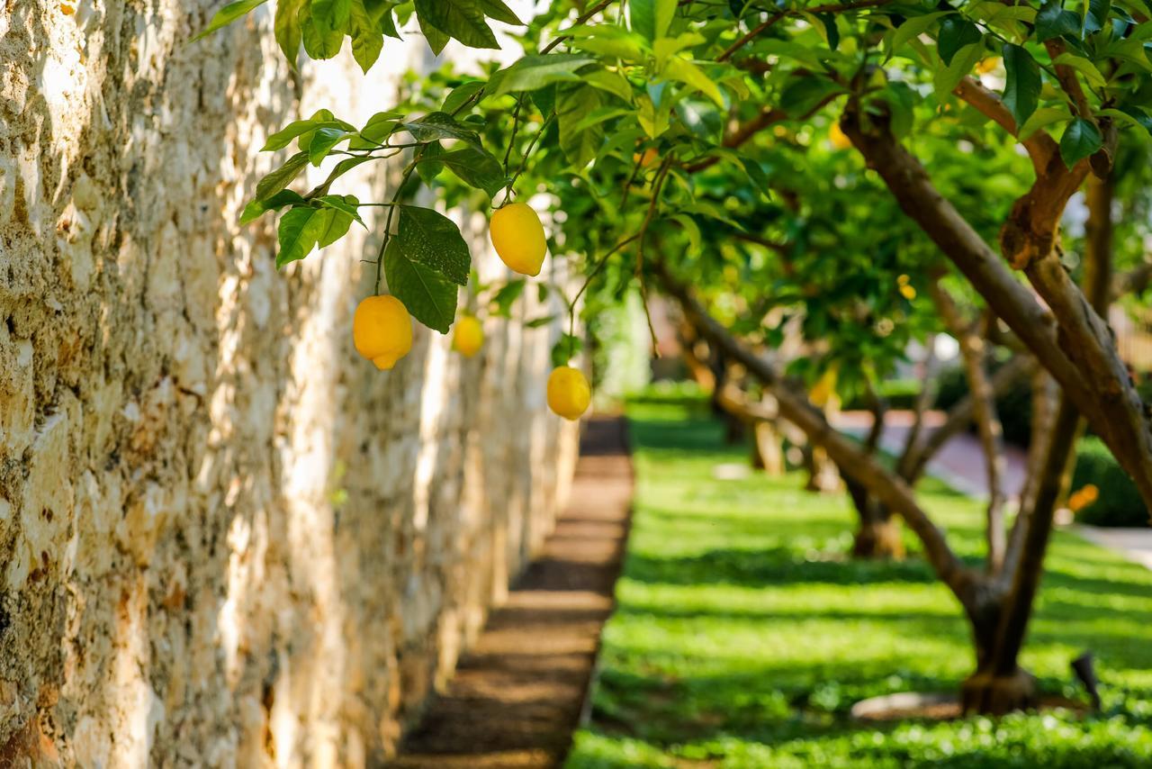 Hotel Lemongarden - Adults Only Sutivan Kültér fotó